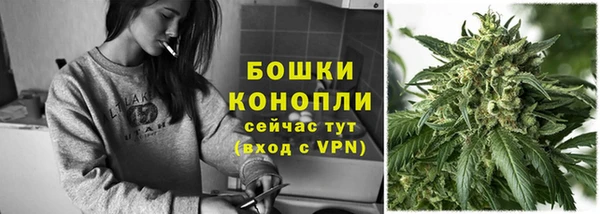 spice Пестово