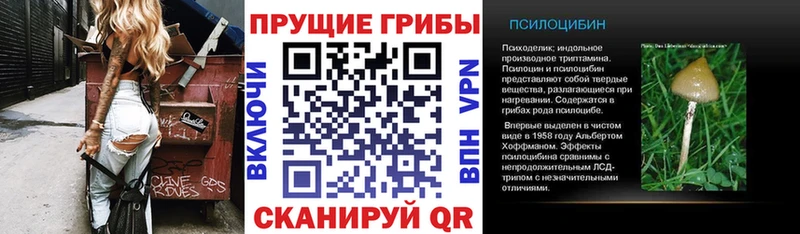 Псилоцибиновые грибы MAGIC MUSHROOMS Спас-Деменск